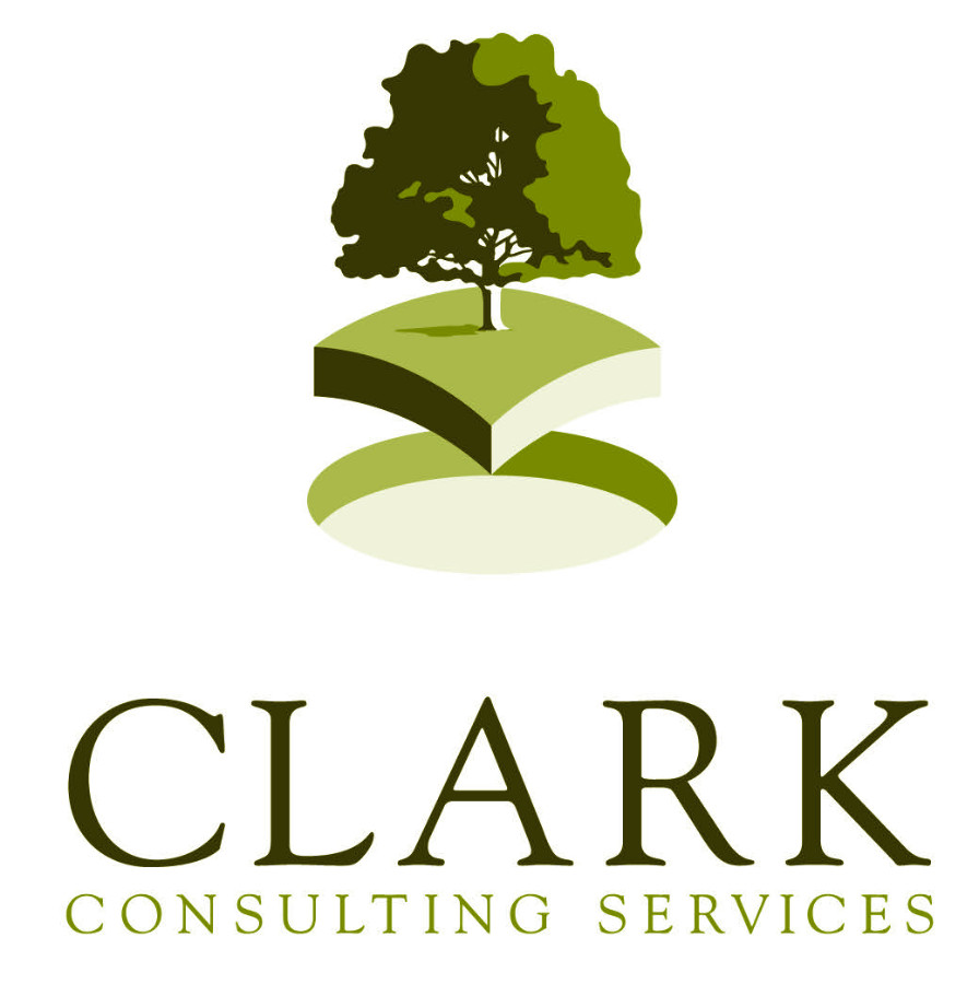 CLARK: Consulting Services